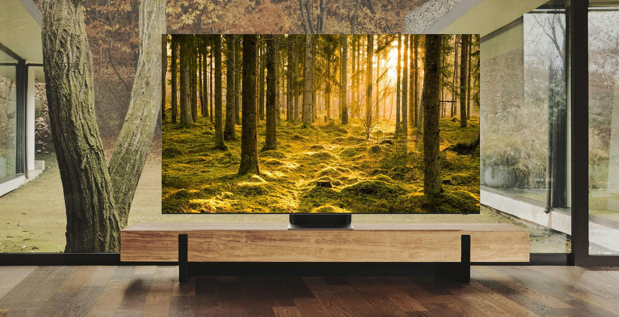 Samsung OLED TV ufficiale: 55” e 65”, in Italia in primavera