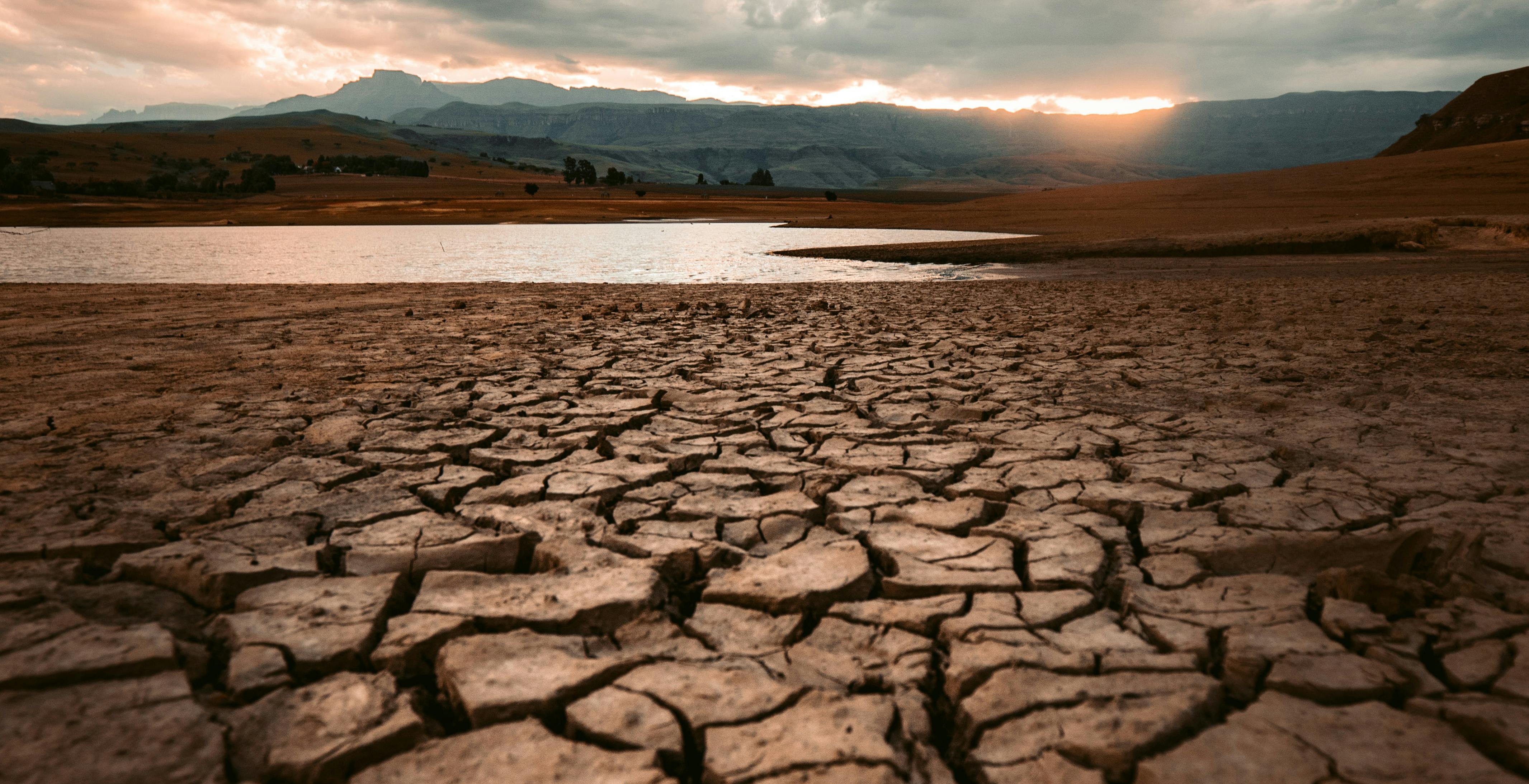 Il rapporto sul clima 2022 mostra un pianeta che soffre: l’Europa è il continente più caldo di tutti