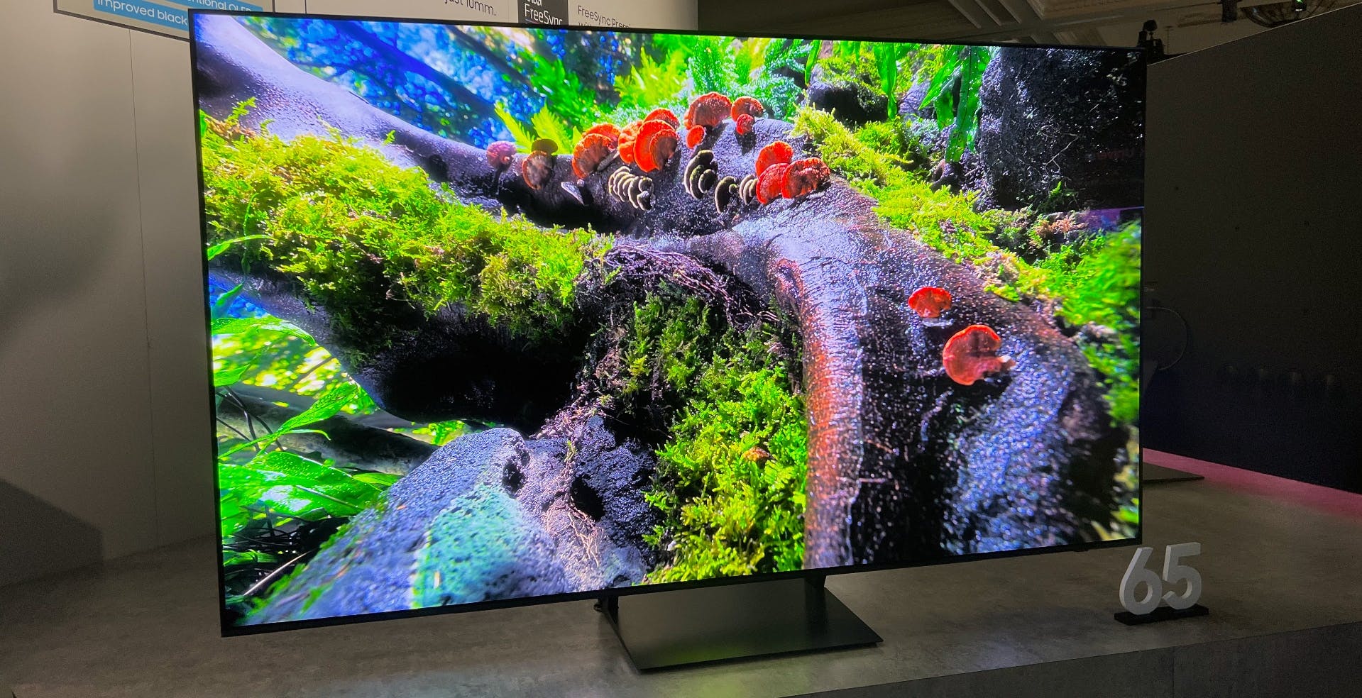 Samsung TV 2023: OLED più luminosi ed efficienti, ma migliorano ancora anche i Neo QLED