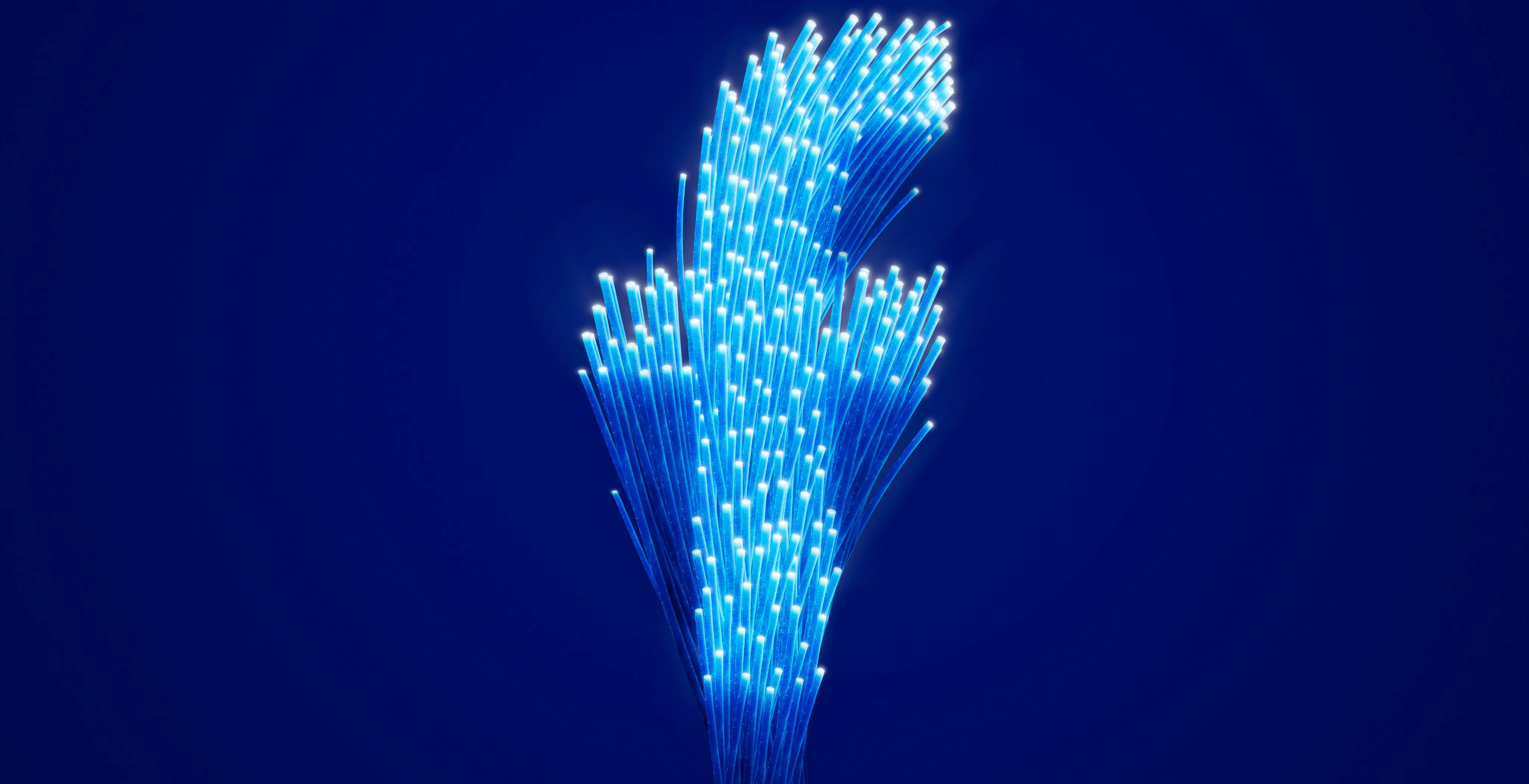 "Guadagna un sacco di soldi in poco tempo", ma è falso. Come non farsi fregare su Facebook