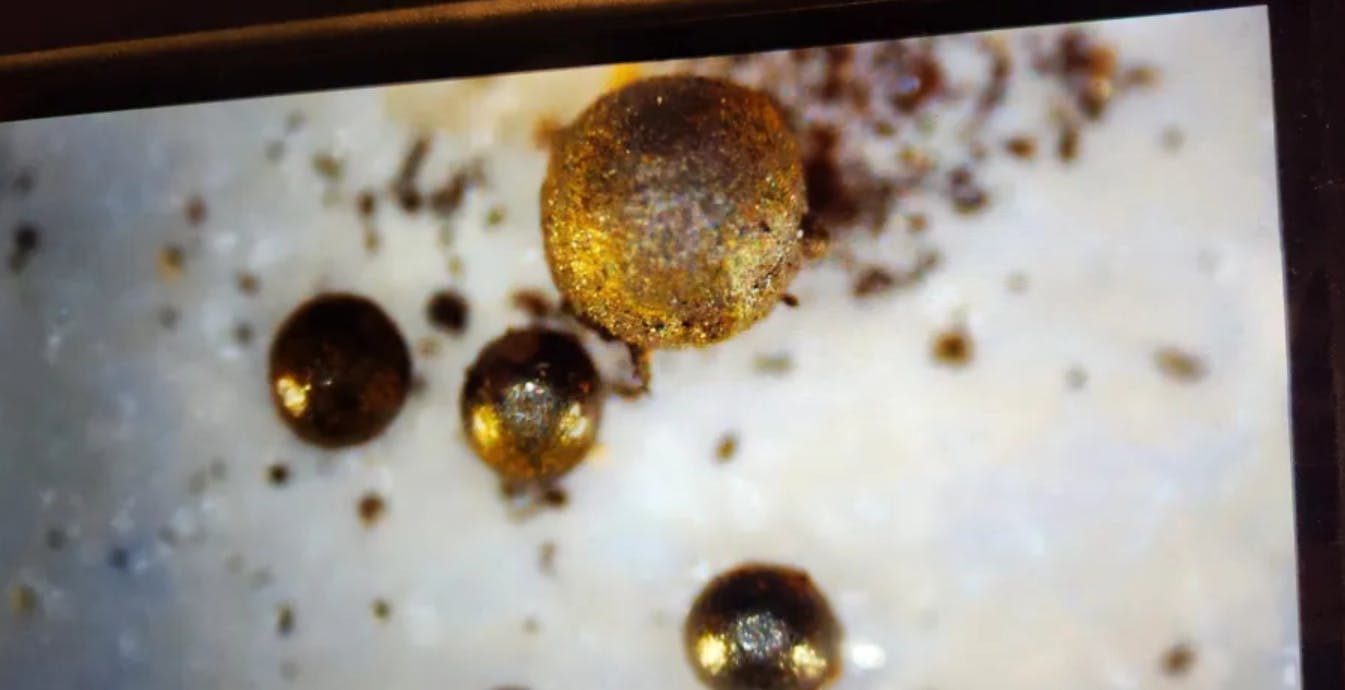 “Forse abbiamo trovato frammenti di una tecnologia aliena”, la potenziale scoperta di un professore di Harvard