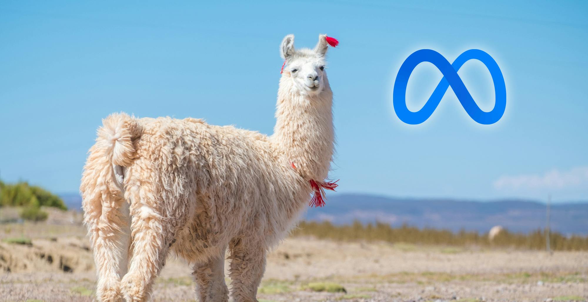 Meta lancia il suo modello linguistico gratuito. Si chiama Llama 2 e vuole sfidare OpenAI